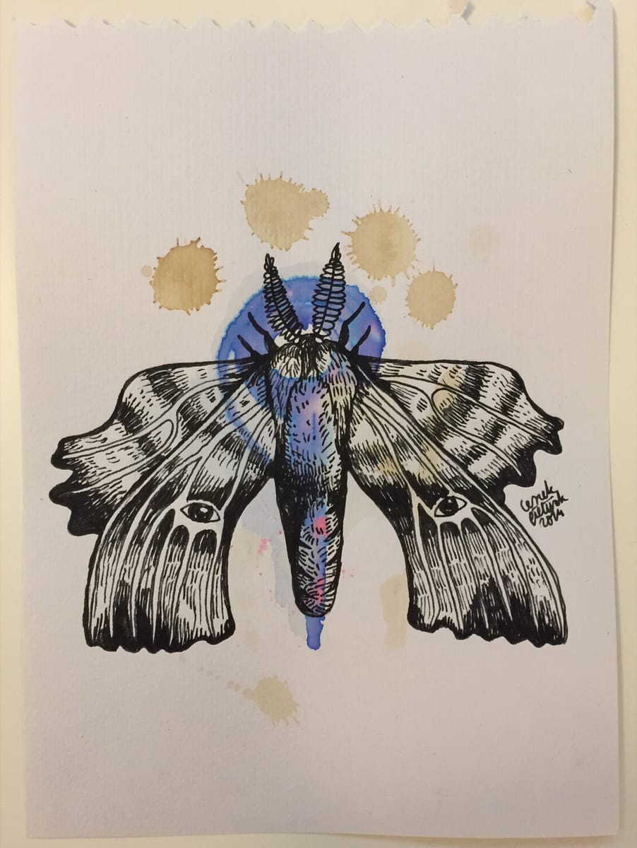 moth-6-2014-poor-quality-photo
